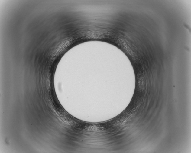 X0000097850635200804111129