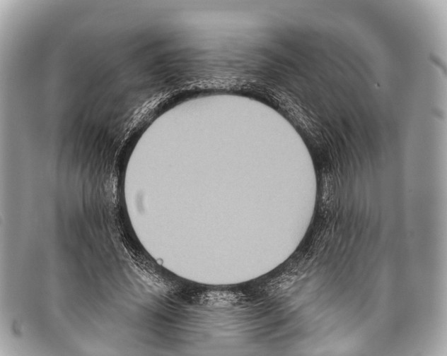 X0000097850636200804111129