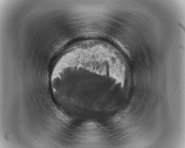 X0000097850637200804111129