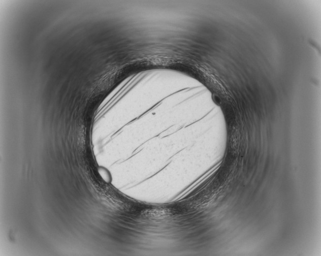 X0000097850639200804111129