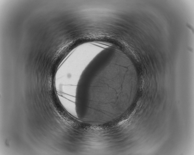 X0000097850640200804111129