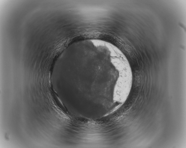 X0000097850641200804111129