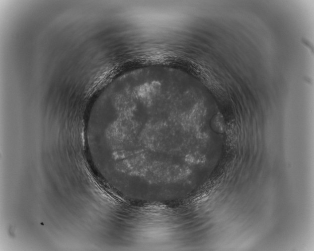 X0000097850642200804111129