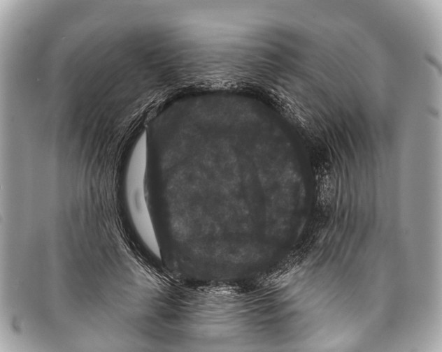 X0000097850643200804111129