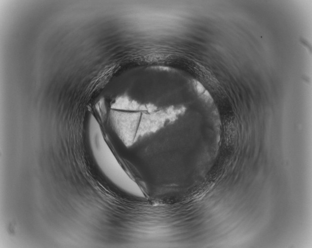 X0000097850644200804111129