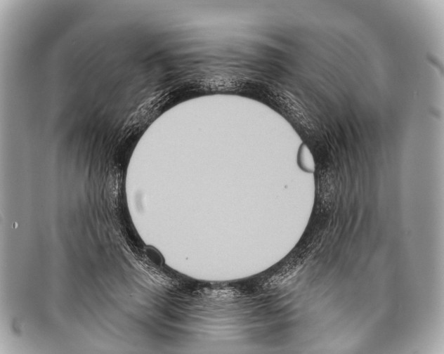 X0000097850645200804111129