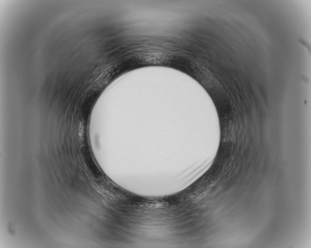 X0000097850646200804111129