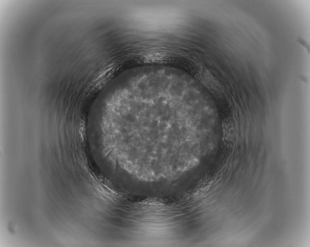 X0000097850648200804111129