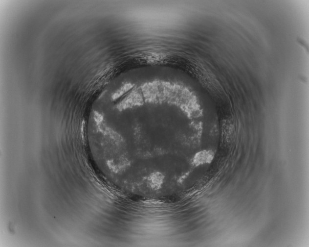 X0000097850650200804111129