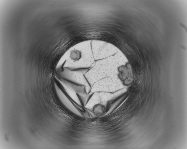 X0000097850652200804111129