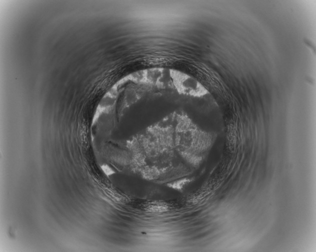 X0000097850653200804111129