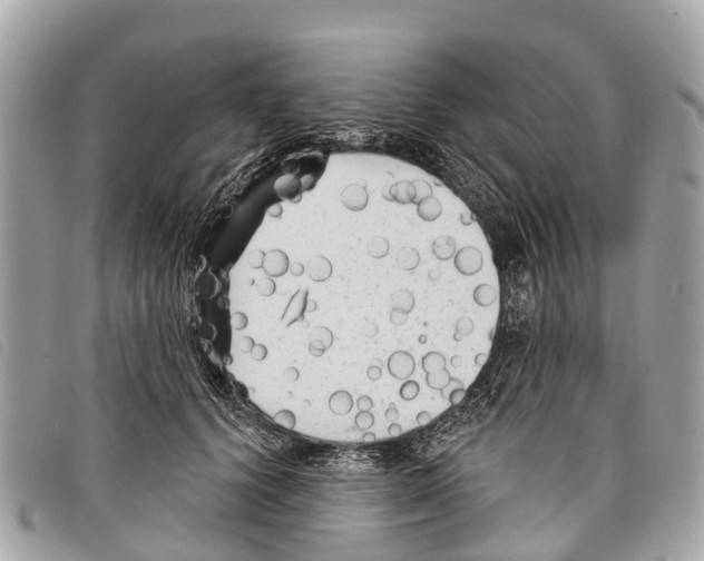 X0000097850656200804111129