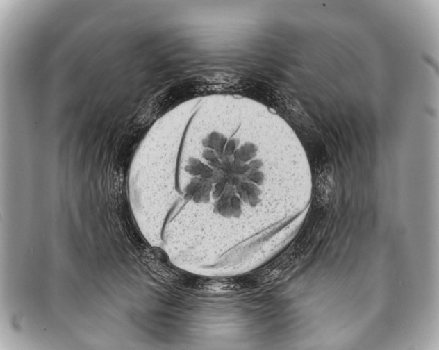 X0000097850657200804111129