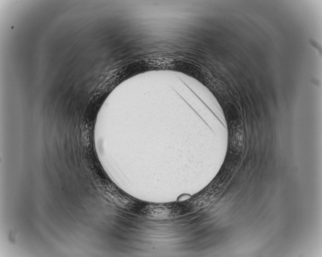 X0000097850658200804111129