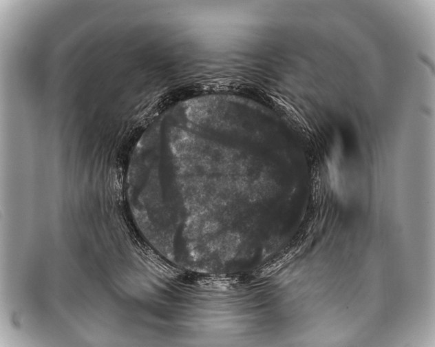 X0000097850661200804111129