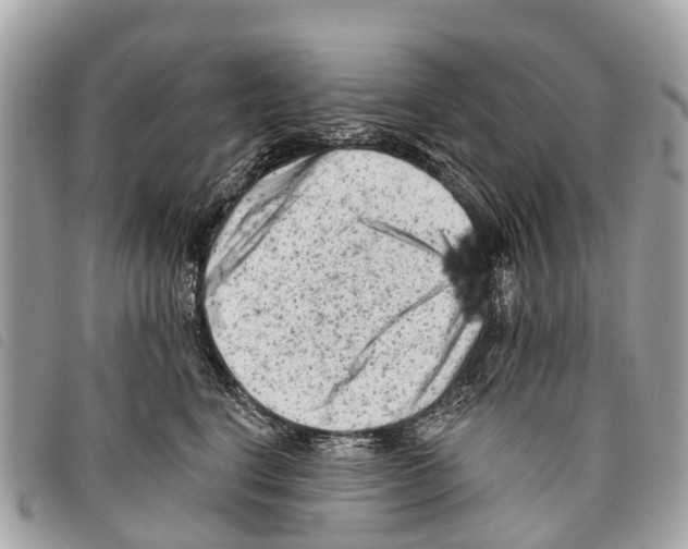 X0000097850664200804111129