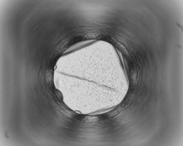 X0000097850665200804111130