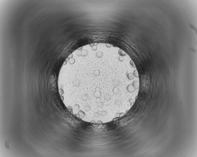 X0000097850667200804111130