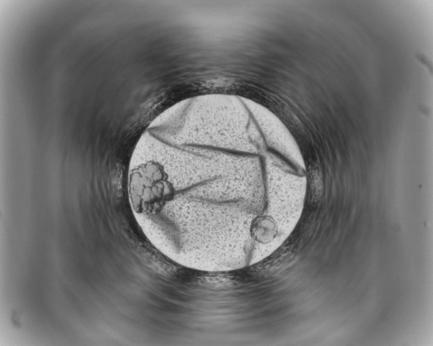 X0000097850668200804111130