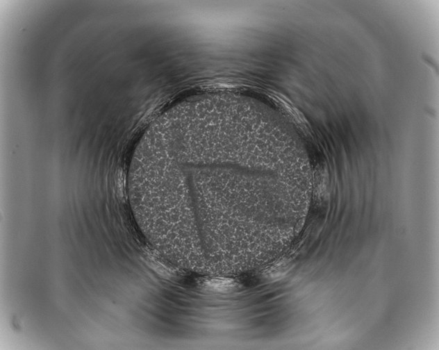 X0000097850669200804111130