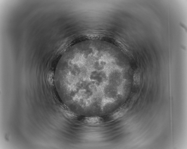 X0000097850671200804111130