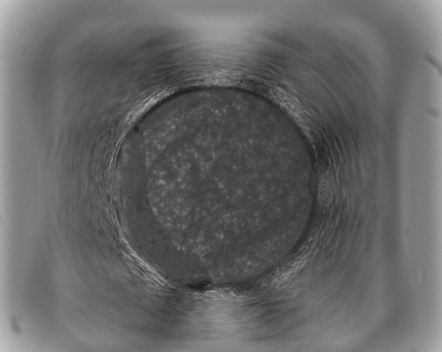 X0000097850673200804111129