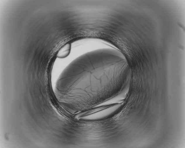 X0000097850674200804111129