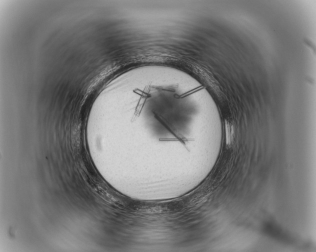 X0000097850675200804111129