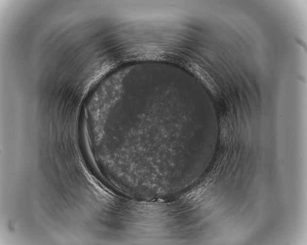 X0000097850677200804111129