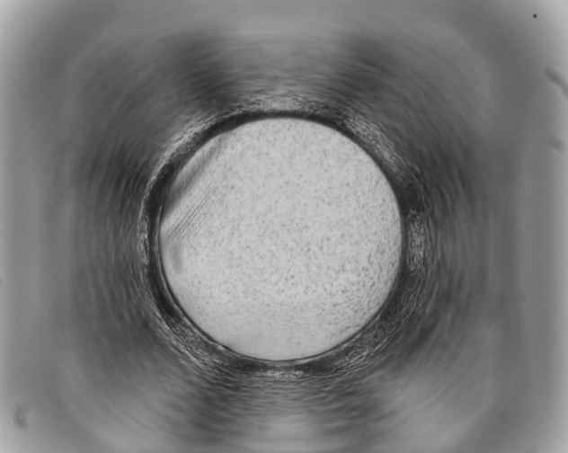 X0000097850680200804111129