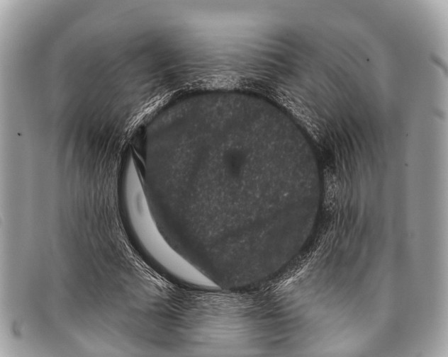 X0000097850681200804111129