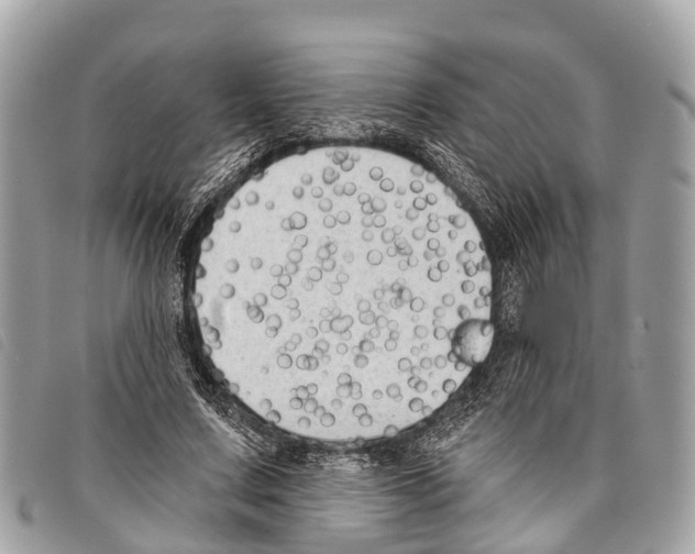 X0000097850683200804111129