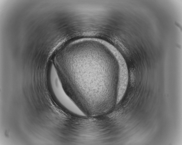 X0000097850684200804111129