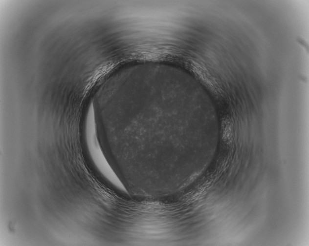 X0000097850685200804111129