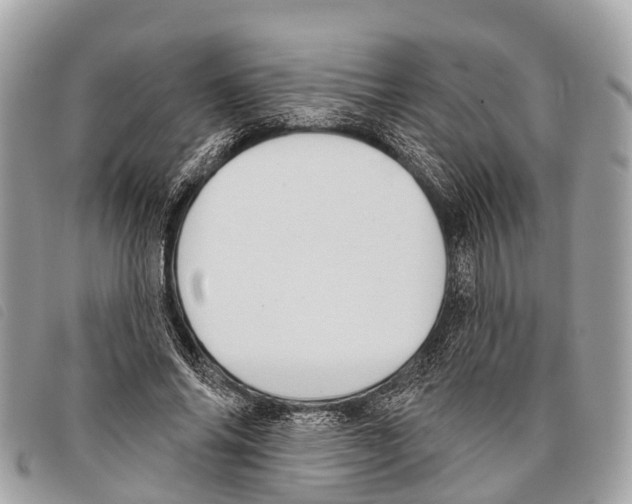 X0000097850686200804111129