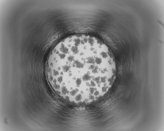 X0000097850687200804111129