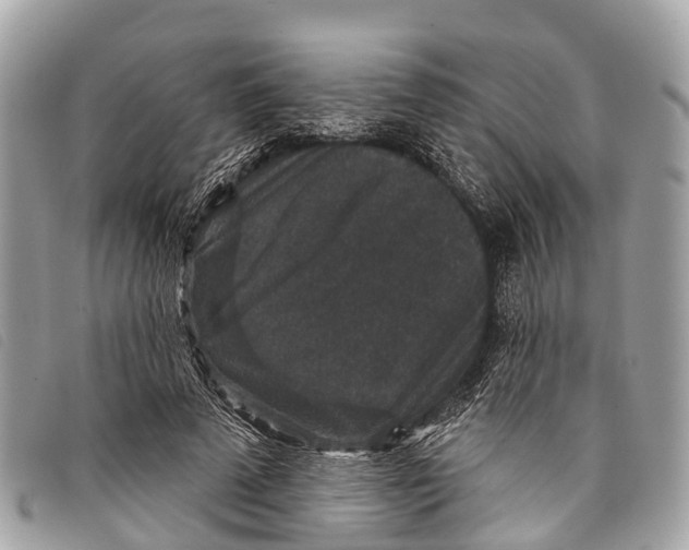 X0000097850689200804111129