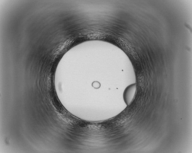 X0000097850690200804111129