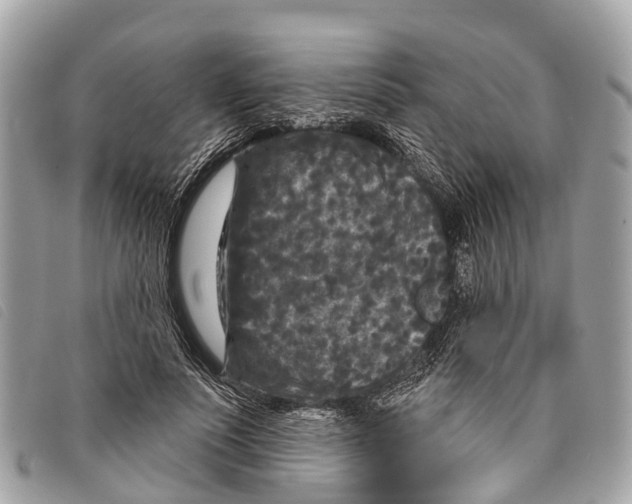 X0000097850691200804111129