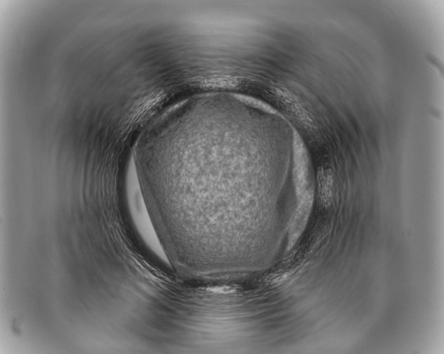 X0000097850692200804111129