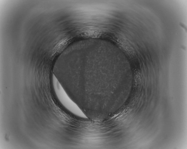 X0000097850693200804111129