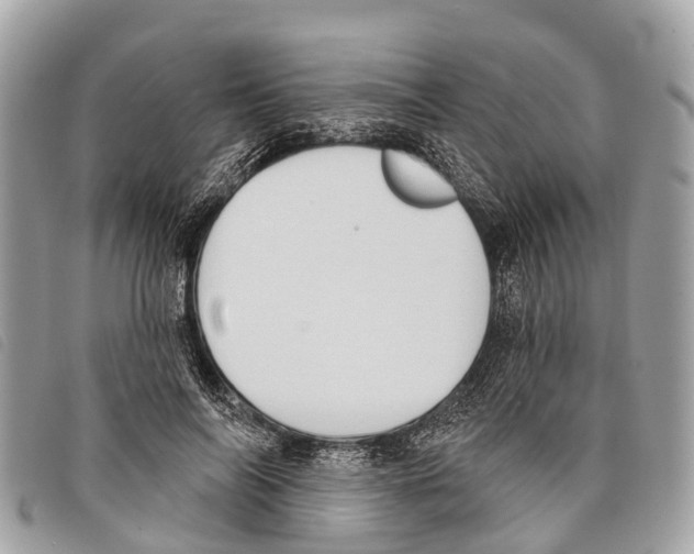 X0000097850694200804111129