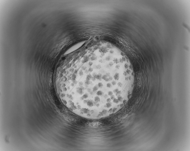 X0000097850695200804111129