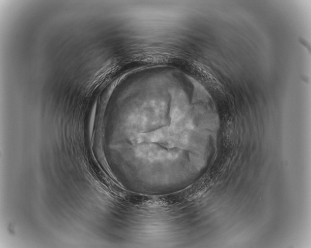 X0000097850696200804111129