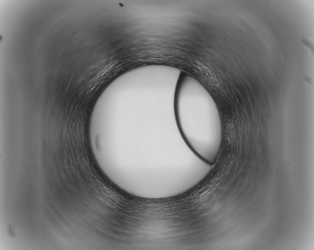 X0000097850697200804111129