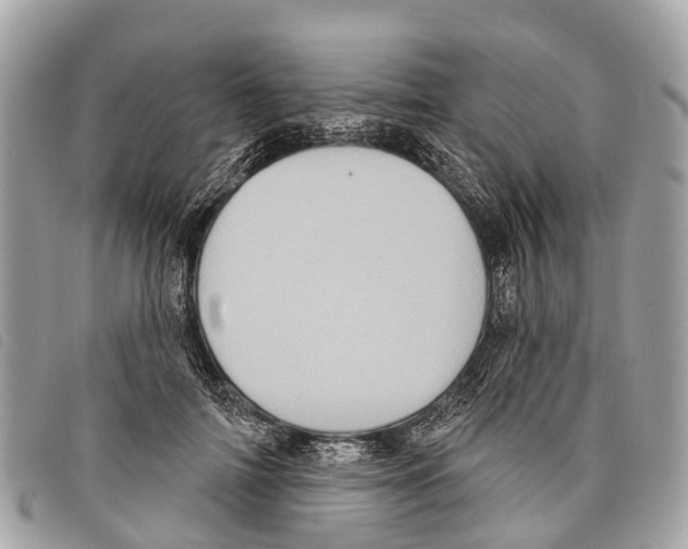 X0000097850698200804111129