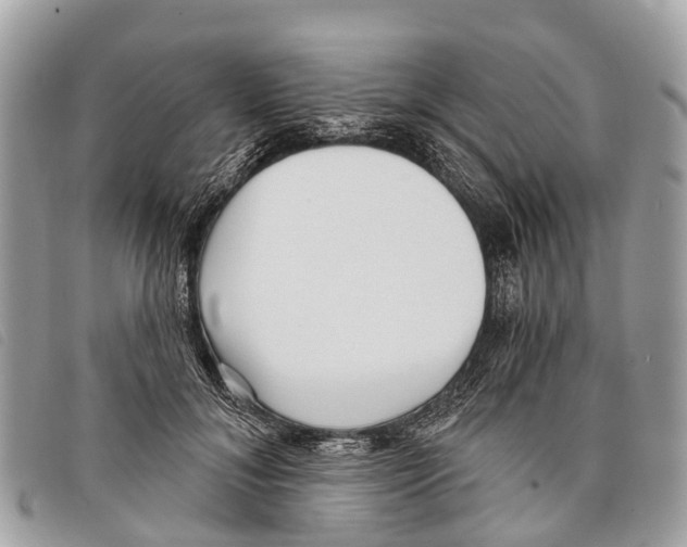 X0000097850700200804111129