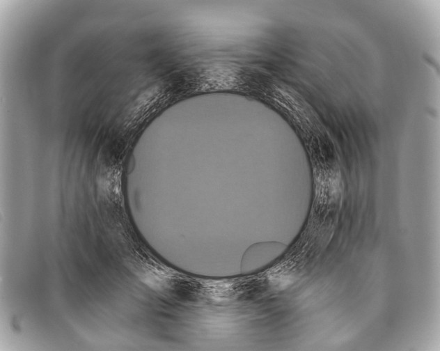 X0000097850701200804111129