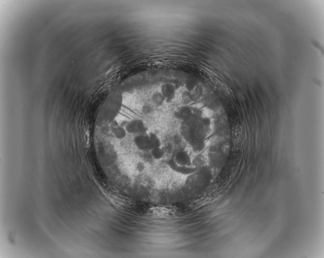 X0000097850703200804111129