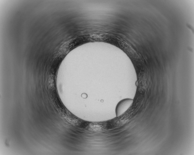 X0000097850706200804111128